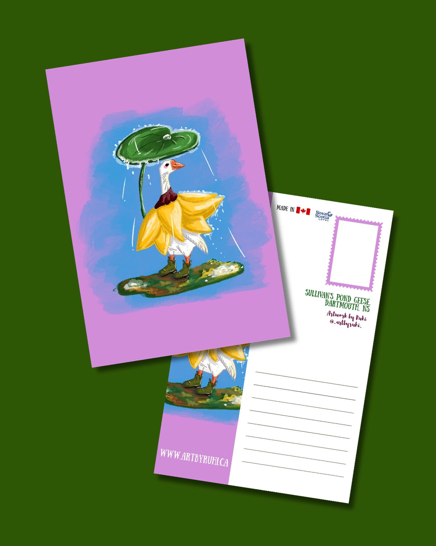 Geese in Fall- NS - Postcard